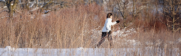 Arb Winter